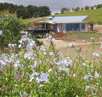 The Blue Grape Vineyard Accommodation - Lismore Accommodation