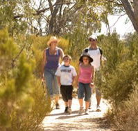 Long Island Caravan Park Cabins - Lismore Accommodation