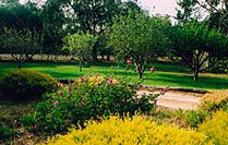 Naracoorte Cottages - Pinkerton Hill - Lismore Accommodation 2