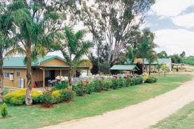 Mundic Grove Cottage - Lismore Accommodation 2
