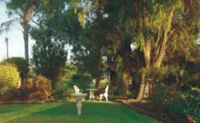 Riverfront Retreat - Lismore Accommodation 0