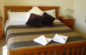 Riverfront Retreat - Lismore Accommodation 4