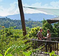 Rose Gums Wilderness Retreat - Lismore Accommodation