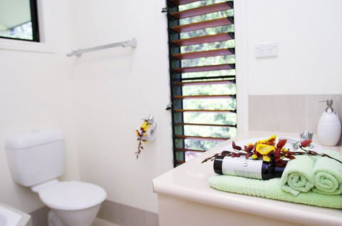 Misty Mountains Tropical Rainforest Romantic Retreat - Lismore Accommodation 5