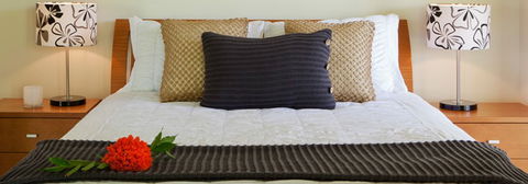 Misty Mountains Tropical Rainforest Romantic Retreat - Lismore Accommodation 7