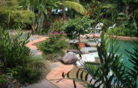 Galvins Edge Hill Bed And Breakfast - Lismore Accommodation 5
