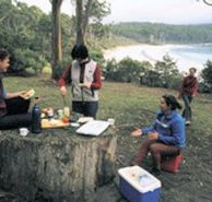 Fortescue Bay Camping Ground - Lismore Accommodation