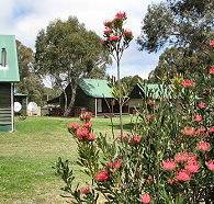 Derwent Bridge Chalets and Studios - Lismore Accommodation