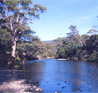 Douglas River Cabin - Lismore Accommodation