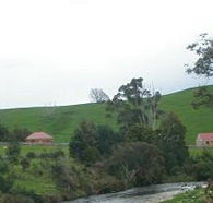 Tin Dragon Trail Cottages - Lismore Accommodation