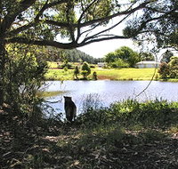 Newry Park Cottage - Lismore Accommodation