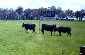  Lismore Accommodation