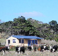 Marrawah Beach House - Lismore Accommodation
