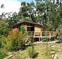 Southern Forest Accommodation - Lismore Accommodation