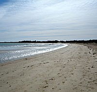 Greens Beach Caravan Park - Lismore Accommodation