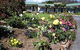 Wintersun Gardens Motel - thumb 0