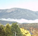 Lindisfarne Motor Inn - Lismore Accommodation