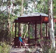 Telopea - Lismore Accommodation