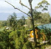 Partridge Farm - Lismore Accommodation