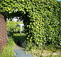 Kirra Guest House - Lismore Accommodation