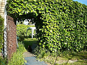 Kirra Guest House - Lismore Accommodation 0