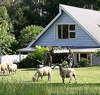 Hide-Away Cottage Retreat - Lismore Accommodation