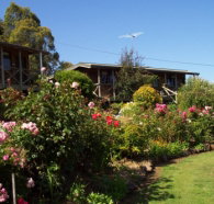 Mole Creek Holiday Village - Lismore Accommodation