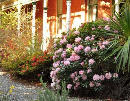 Ormiston House - Lismore Accommodation 3