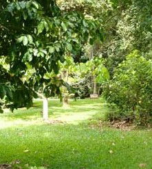 Kingfisher Park Birdwatchers Lodge - Lismore Accommodation 0