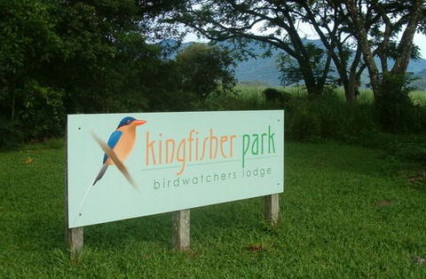Kingfisher Park Birdwatchers Lodge - Lismore Accommodation 1