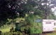 Cooktown Orchid Travellers Park - thumb 0