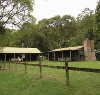 Tree Fern Lodge - Lismore Accommodation