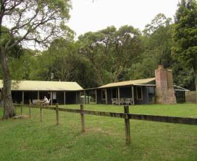 Tree Fern Lodge - Lismore Accommodation 0