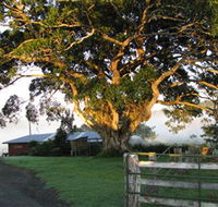 Arley Farm The Old Dairy - Lismore Accommodation