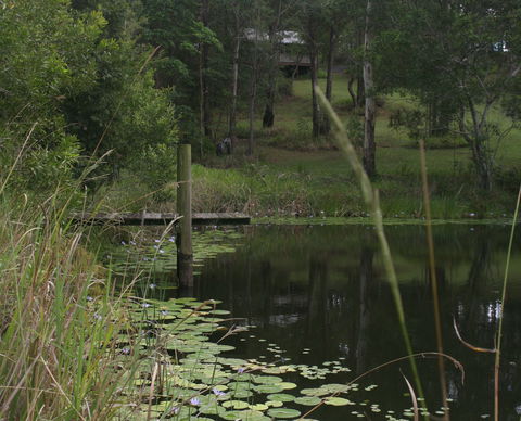 Maleny Country Cottages - Lismore Accommodation 4