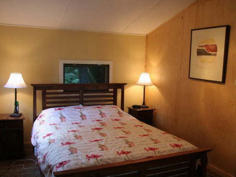 Tree Fern Lodge - Lismore Accommodation 3