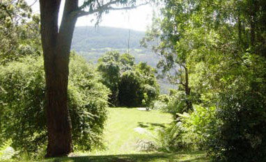 Red Dog Retreat - Lismore Accommodation 1