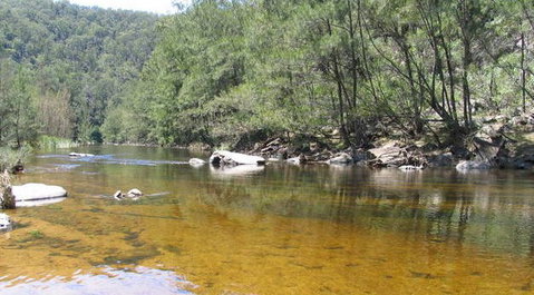 Bakers Flat Cottages - Lismore Accommodation 0