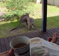 Bush and Bay Cottage - Lismore Accommodation