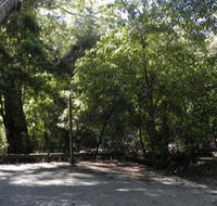 Booderee National Park Green Patch camping area - Lismore Accommodation