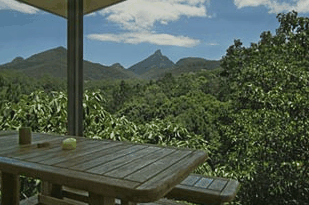 Mavis's Kitchen And Cabins - Lismore Accommodation 1
