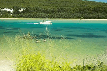 Wooli Camping and Caravan Park - Lismore Accommodation