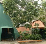 Arts Factory Backpackers Lodge - Lismore Accommodation