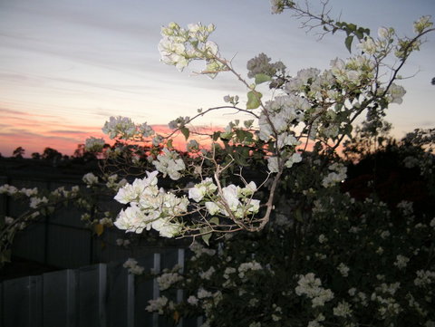 Sonjas Bed And Breakfast - Lismore Accommodation 2