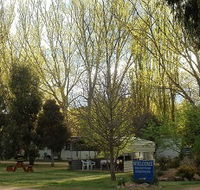 Snowy River Holiday Park - Lismore Accommodation