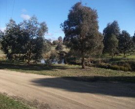 Delegate Caravan Park - Lismore Accommodation 0