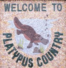 River Cottage - Lismore Accommodation 0