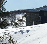 Barina Milpara Lodge - Lismore Accommodation