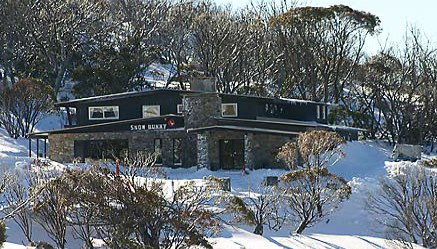 Snow Bunny - Lismore Accommodation 0