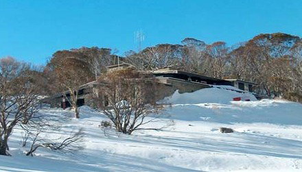 Snow Bunny - Lismore Accommodation 1